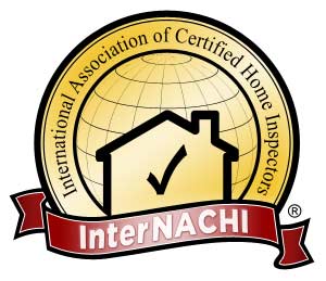 mold inspection concord